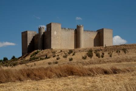 Castillo de Montealegre