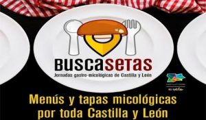 Jornadas Buscasetas