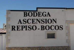 Bodega-Ascensión-Repiso-Bocos