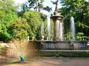 Campo grande Valladolid